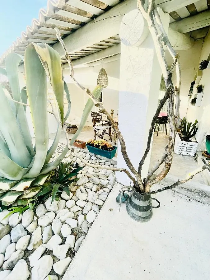 Cabanon Aloe Avec Piscine Chauffee & Bain Nordique Villa Veaux Holiday home